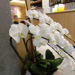 ジュースゾーン 原宿店 - オープン祝いのお花