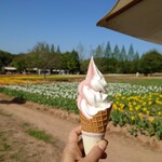 世羅高原農場 - 