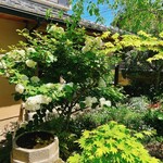 魚菜料理 縄屋 - 