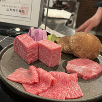 HIKARI - 