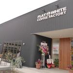 FLATWHITE COFFEE FACTORY - 