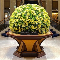 全聚徳 新宿店 - 