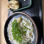 Fujimi Udon - 