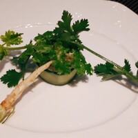 イリエスケープ - 