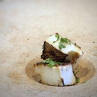 日本料理 TOBIUME - 柔らかい食感で、噛むとクリーミーさと旨味を感じますね。希少な品を頂けることに感謝です。m(__)m