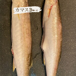 食酒房ふさ助 - カマス塩焼き