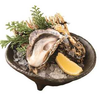 [We pride ourselves on freshness] A plump texture packed with flavor! Live Oyster