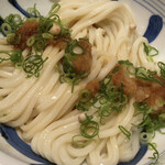 江戸堀 木田 讃岐うどん - 生しょうゆうどん(税込800円)