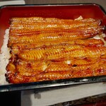 Unagi Toku - 