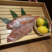 のどぐろ専門 銀座 中俣 - 