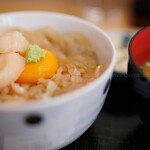 魚まる食堂 - 料理写真:
