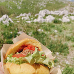 ミネ 秋吉台ジオパークセンター カルスター - 