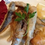 マルデナポリ - 