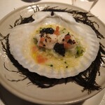 レフェルヴェソンス - 