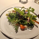 レフェルヴェソンス - 