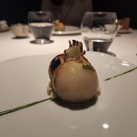 レフェルヴェソンス - 