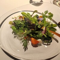 レフェルヴェソンス - 