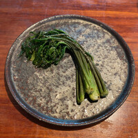 飛騨季節料理 肴 - 
