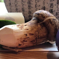 四季のあじわい 松籟亭 - 