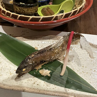 柳家錦 - 