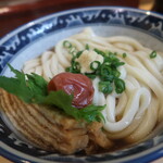 梅田 釜たけうどん - 梅きつね