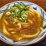Marugame Seimen - カレーうどんに薬味葱