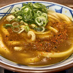 丸亀製麺 - カレーうどんに薬味葱