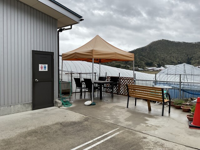 漆山果樹園 - 赤湯（喫茶店）の写真