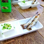 呑める魚屋 魚徳 - 