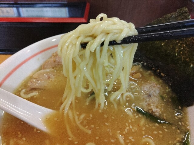 麺小屋 ここりこ - 新庄（ラーメン）の写真