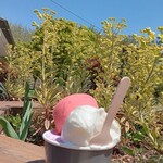 コザブ ジェラート - 