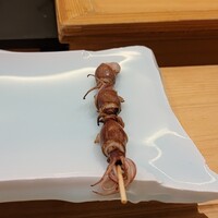 鮨 なんば 日比谷 - ホタルイカ