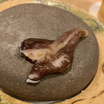 津の守坂 小柴 - 