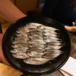 温石 - 豆あじの勢揃い。後ほど唐揚げでご提供