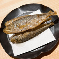 温石 - 豆あじはラッコの大好物