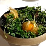 ラ・ヴァガボンド - 