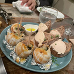 シッポ エスコンディーテ エスパニョール - 