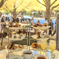 キハチ 青山本店 - 