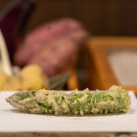天白 - 2023.4 山形産グリーンアスパラガスの穂先