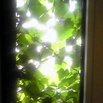 メゾン・カシュカシュ - 窓から・・・