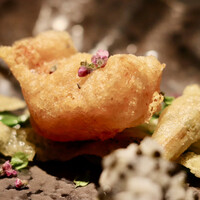 TOSAGE - 