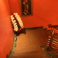 Robin Club 表参道 - 