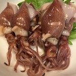 食酒房ふさ助 - 富山大粒ホタルイカ