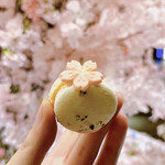 ロビーラウンジ - 