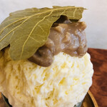 こひる庵 - 柏葉はお飾りで香りを楽しむものらしい