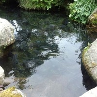 比良山荘 - 