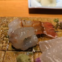 乙女寿司 - ガスエビ