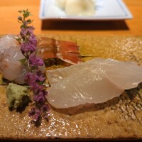 乙女寿司 - ガスエビとヒラメ