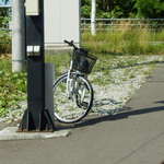 STAR - 今日もお疲れ様のツンデレ姫♪