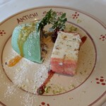 アンティキ・サポーリ - 